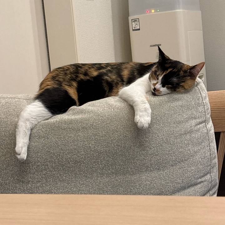 98d90457 912d 4dbf 8fe9 d4bc1048bf20 1771930579484