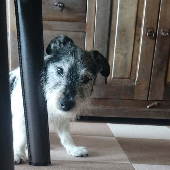 98d997fd 9ef5 4851 b6c6 5379a75b1024 1652172916012