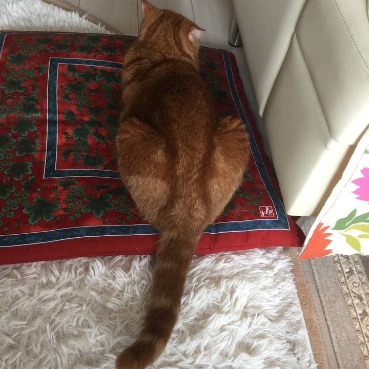 98d9a5f1 48fb 4275 abf9 f24e7fb73d43 1601103169458