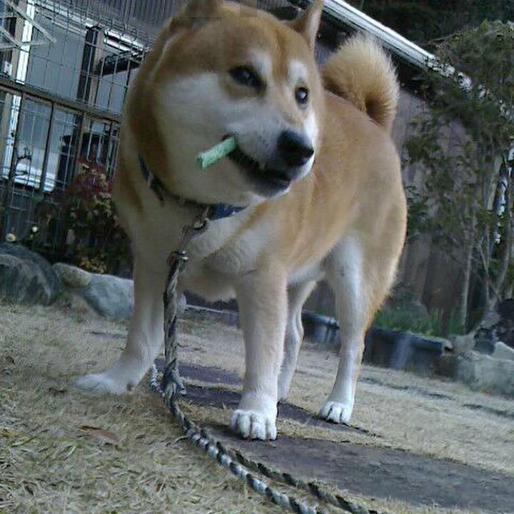 98d9b250 ae19 46b6 9a7d 20838f6531fe 1549277873641