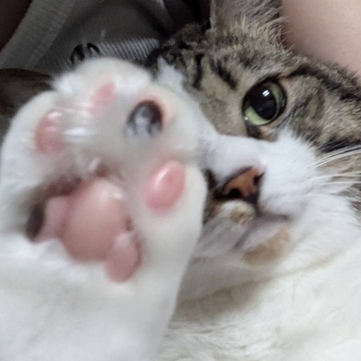 98d9c7db b681 4e86 9d78 c5de24c4b52c 1758545798966