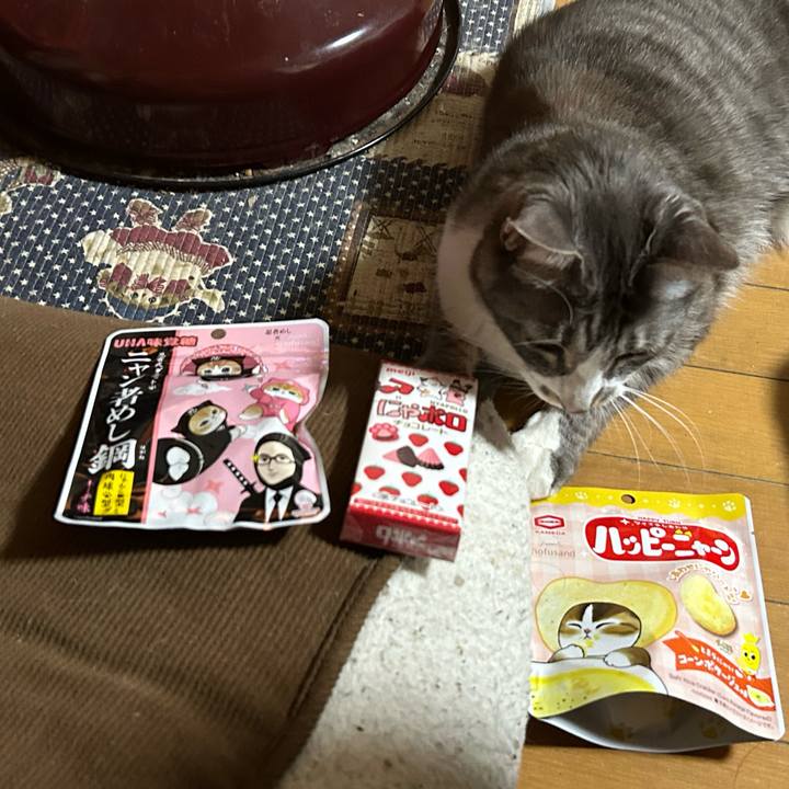 98d9d194 3f7a 494e a81e 6226052dc54c 1771459287556