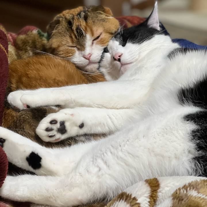 98d9f555 b412 4c65 a125 a9ba785a2d72 1644844278102