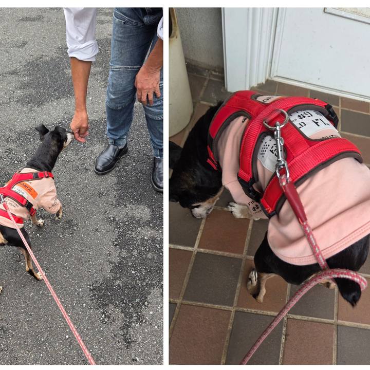 98d9fa94 9b68 47be bb23 5995d8914174 1758243927532