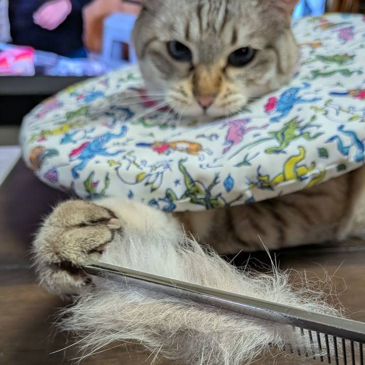 98da08b9 fdbb 4fa7 b7e8 5551f3a38842 1755085201507