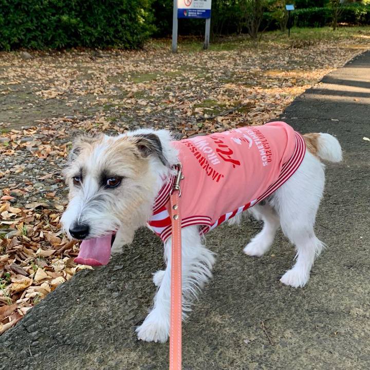 98da18d1 6a88 4dd9 bbfe 5dd37d7c5cc5 1664630983934