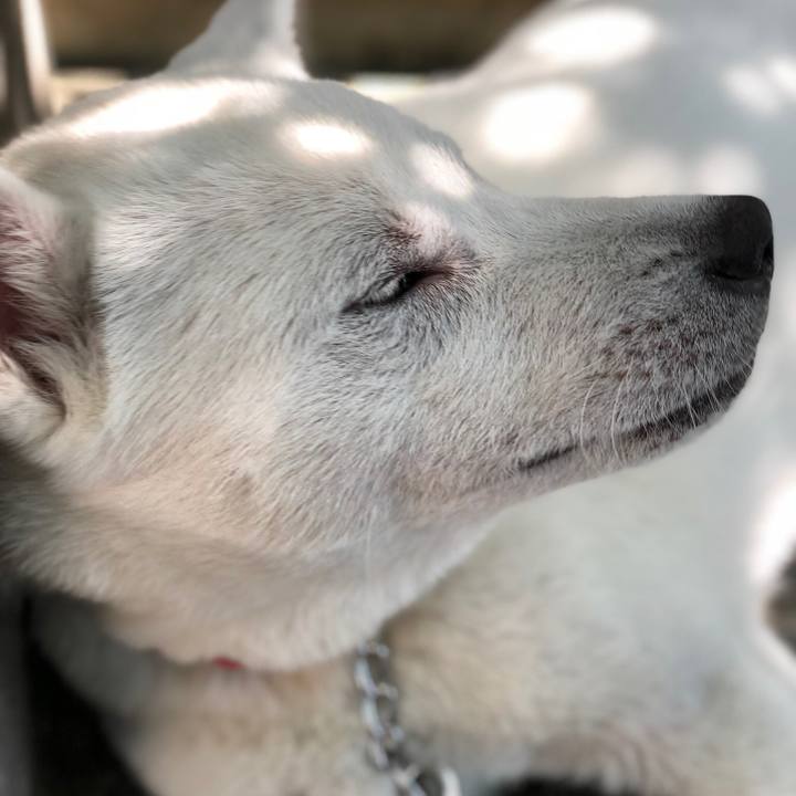 98da37d5 8c9a 482b a532 c454de60a55a 1527933334555