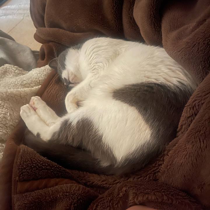 98da3ddd f543 4b0d a190 ee737acd9929 1715387363399