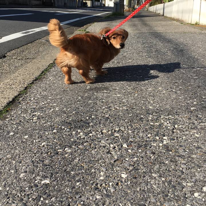 98da559d 4246 4af0 90b7 983e268e5a94 1553865702150