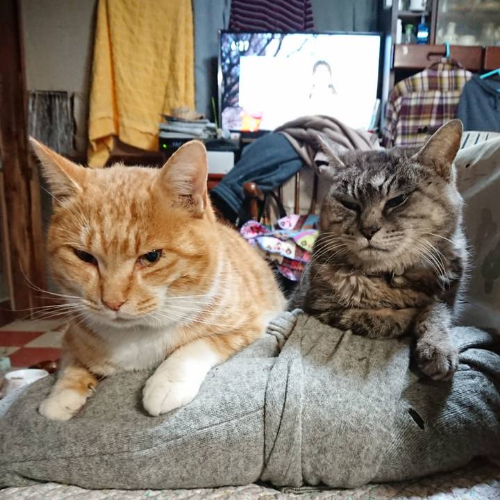 98da6cad 7d77 4d80 a42f 2e0205f3adc5 1576619424538