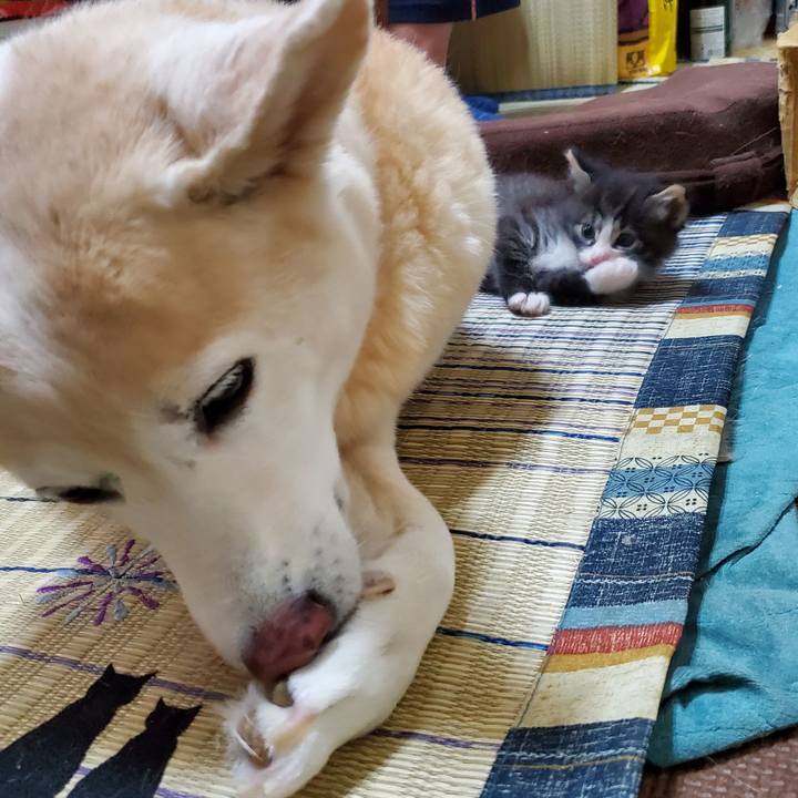 98daa0cd 7f96 498e 8af0 5a63e0e3a646 1624433031059