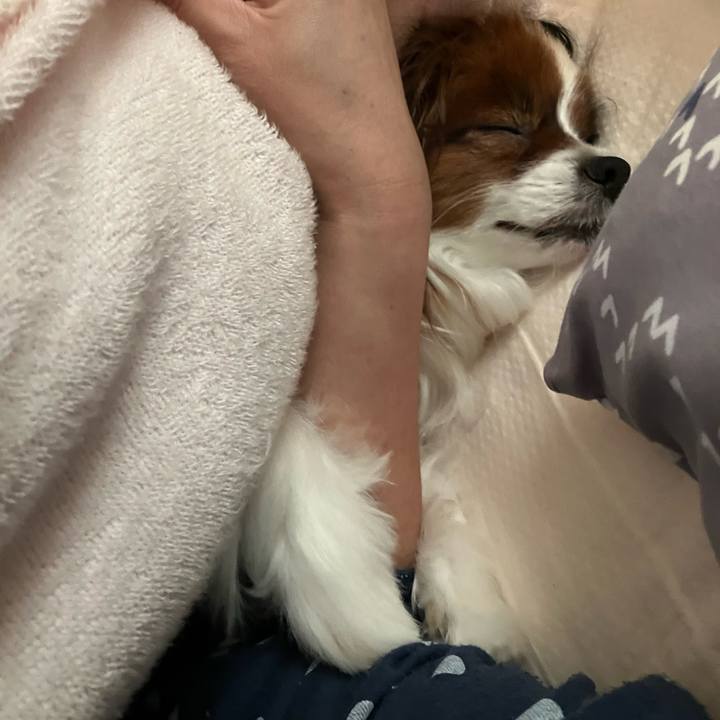 98daa351 c51b 4a1c b606 6187e4e36745 1735341655308