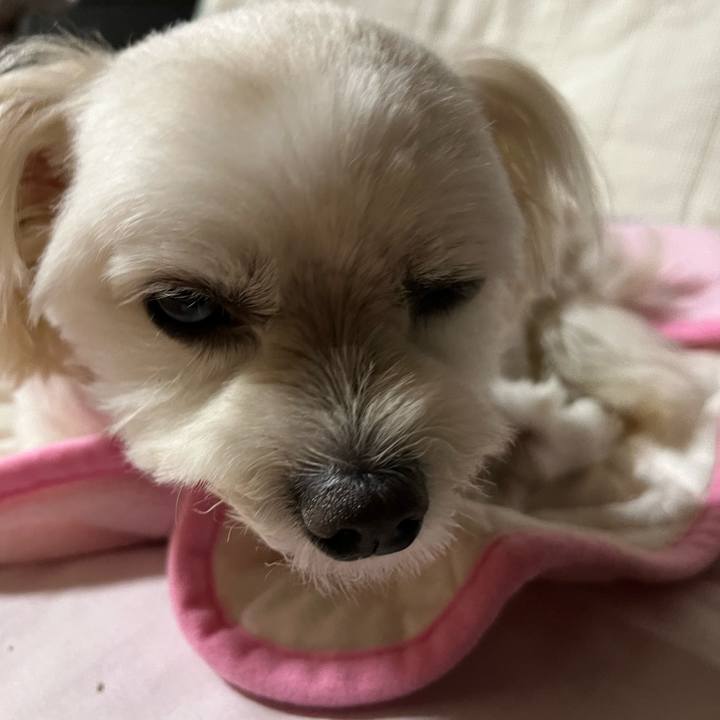 98daaa0b f07f 4a80 b811 af73930a1c88 1662298395520