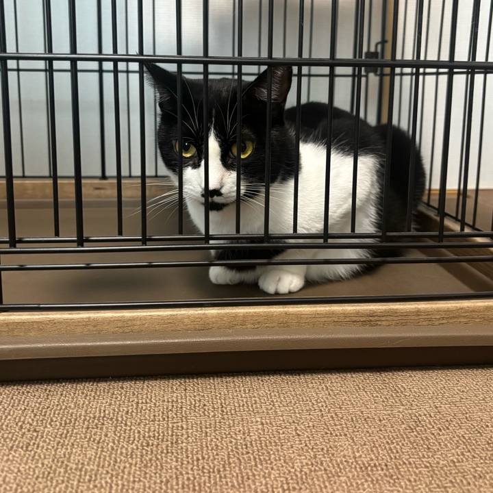 98dad457 c477 4a97 9367 d1da552147b5 1759198440564