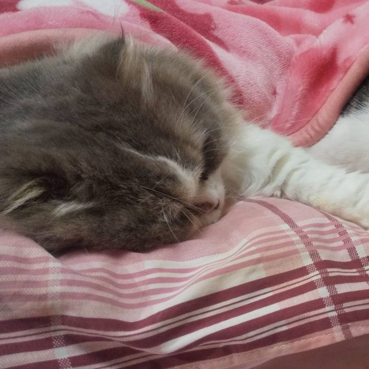 98dadec2 3c43 441b a58b 5578d715c19c 1670162001602