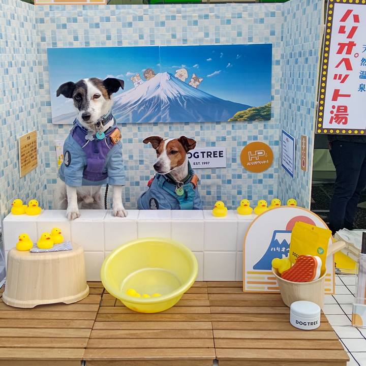 98db65b7 7c88 4362 84b9 ee842e439716 1697370965367