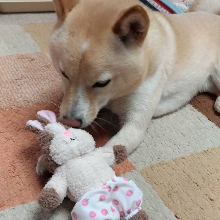 98db933e a01d 459e 8d25 44a95e2a157a 1577227677039