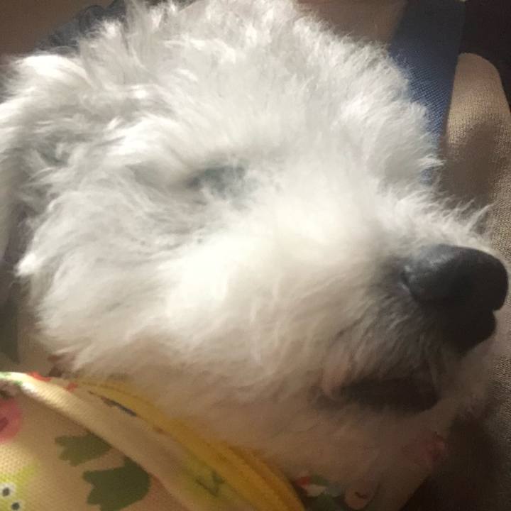 98dba563 e921 42fa 9470 e5f698b80e2f 1625237448585