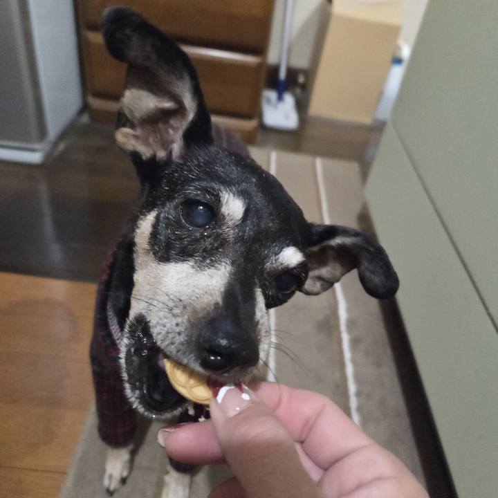 98dc0e34 5465 411d 87f5 b4cee9c29c88 1765396045404