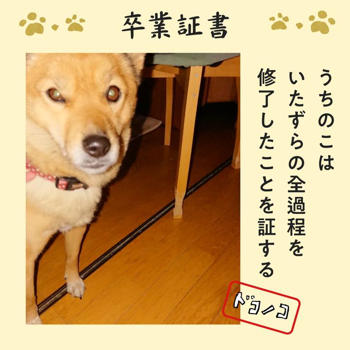 98dc2459 a716 4d3d b6ae a15084eff171 1771847963494