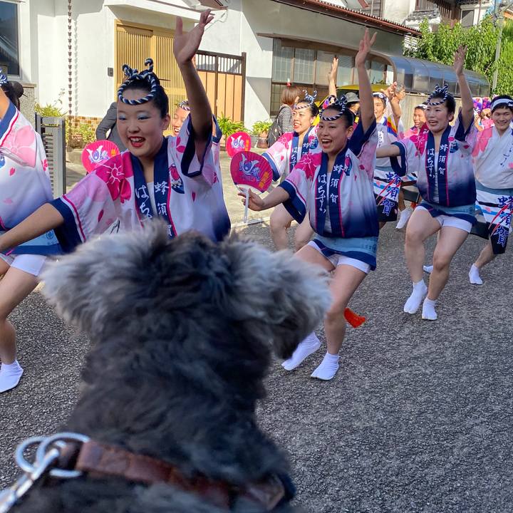 98dc36bd 69d8 4e08 9fb0 820ec8f2b6fe 1570962228717