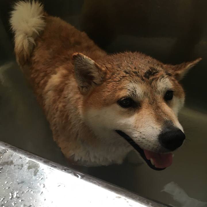 98dc7fa8 0610 44c6 9a6d 9e65c014d6ed 1568250088531