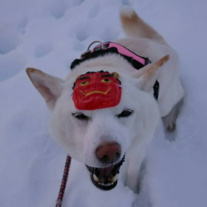 98dcd139 41d7 47c9 bf03 2c6c7746c4d0 1517645835513