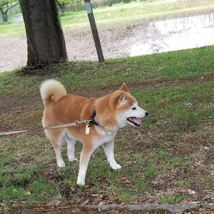 98dcef46 6305 40f9 8246 5db22e20018c 1652422431482