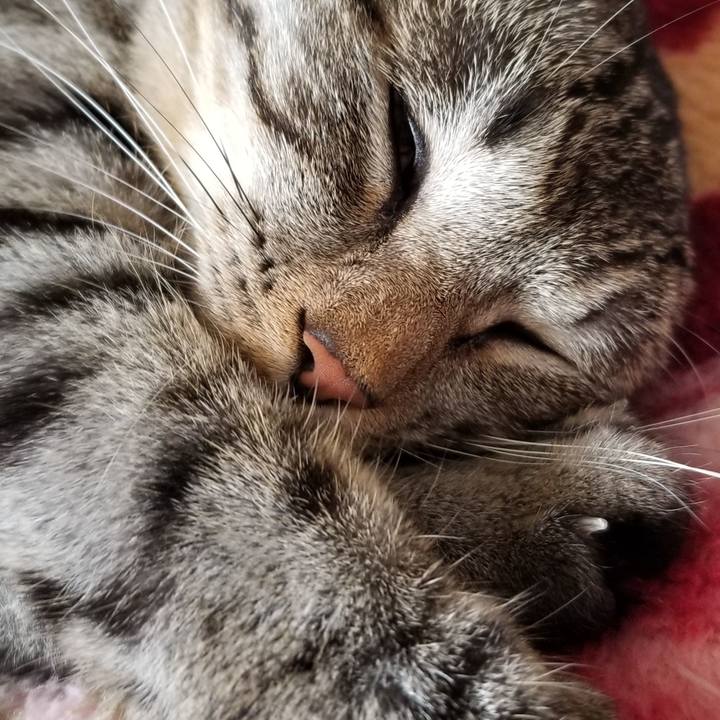 98dcfbe9 039f 48ae bd71 6e95bdc61bf7 1689207817517