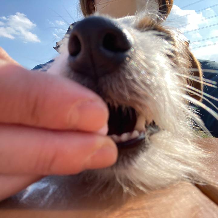 98dd2d22 7eb1 4903 a417 18d86c23f69c 1677128821097