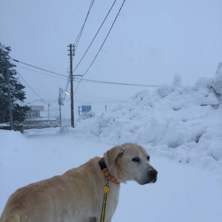 98dd6220 2678 4561 8276 a8798e688809 1517279399181