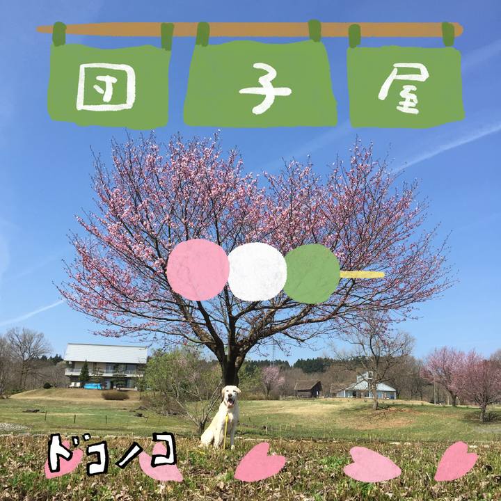 98dd6cc5 2b7b 48d4 b45d cb4f15f54f99 1712736626926