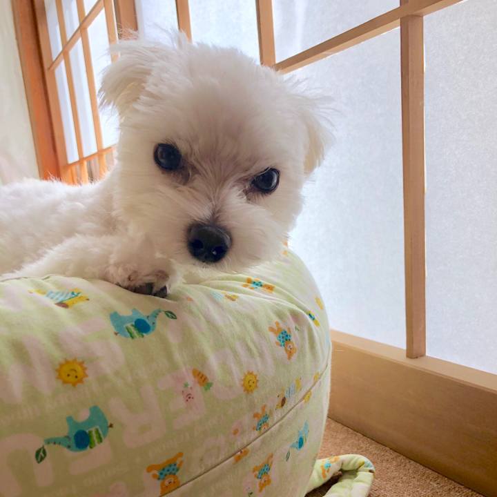 98dd8424 6717 4355 a4a1 8604538b87fb 1537682204650