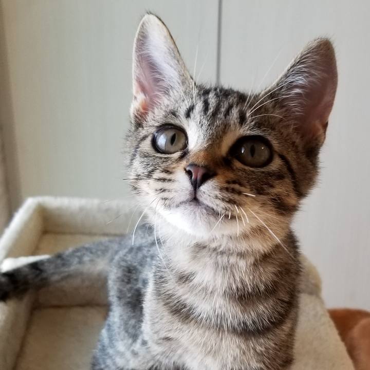 98dd9a08 f8ca 4d20 b9eb edcca0be2e49 1540277972858