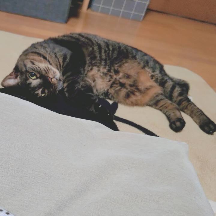 98ddadd9 d2b9 43a8 8b4b 2a3e2a28d183 1773845500429