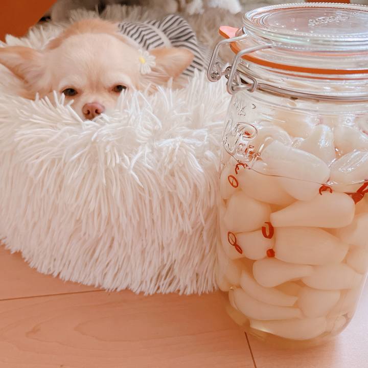 98ddbe36 53fa 4c74 ae2e 3b0e869508a1 1651484785904