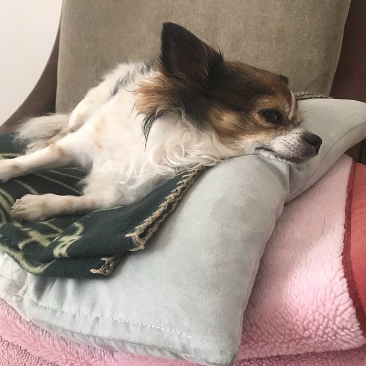 98ddca79 a8ab 434a ad31 bb231b1bc94b 1608875004930