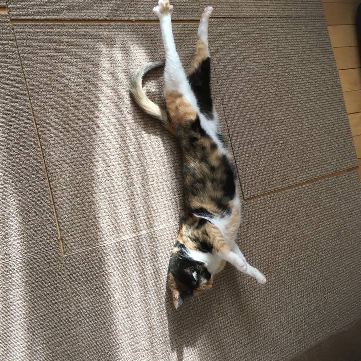 98ddeebd bbf8 4fea 8810 4685e4ee5b06 1516250077318