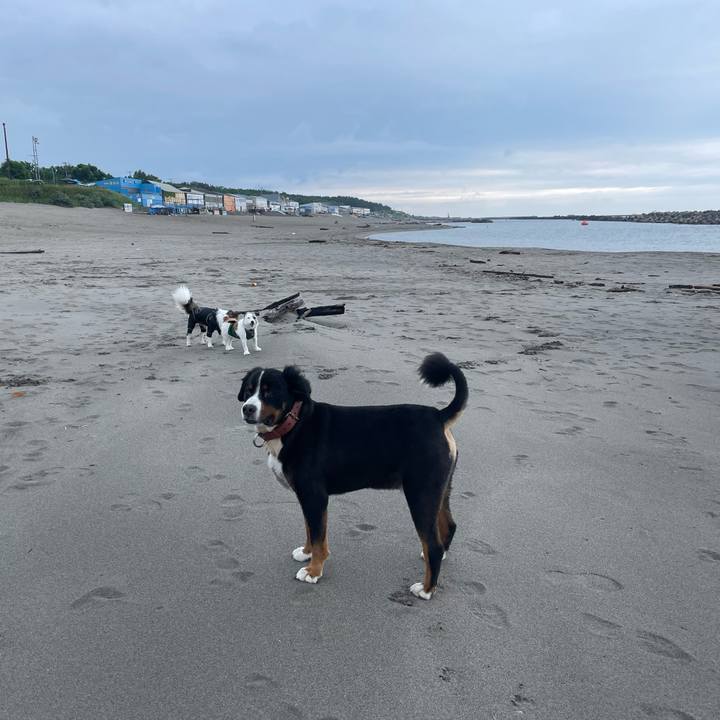 98de1080 e301 4177 a04c 5035cfe95fdf 1721002846079