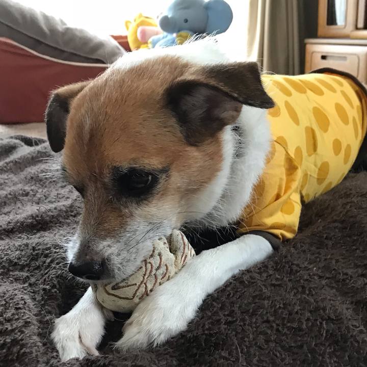 98de9502 353f 45ab 92a7 e97a22df0154 1539501818805