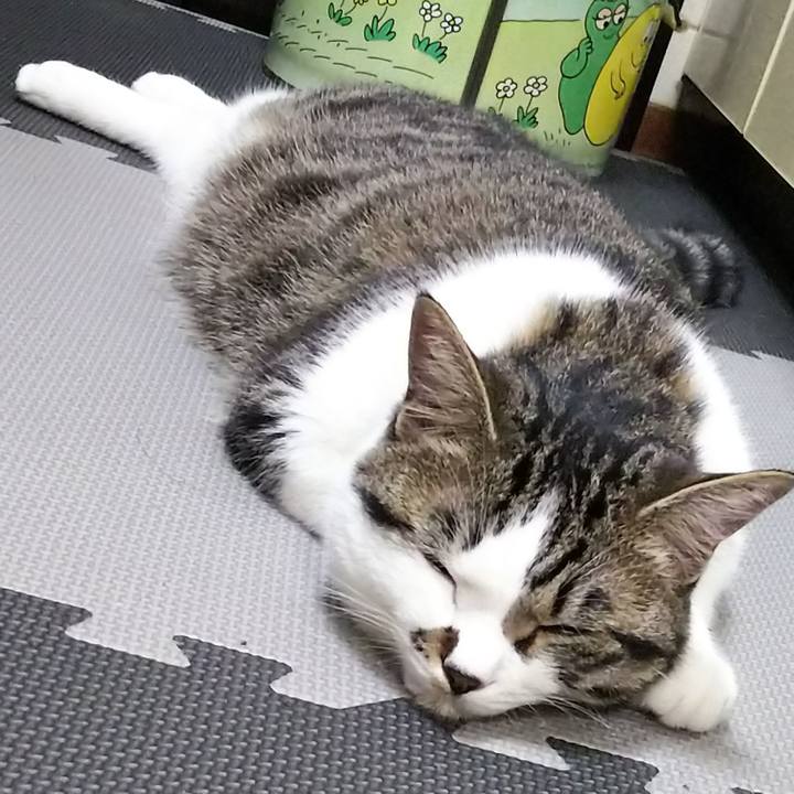 98dec8ee c8dc 40b7 8574 b21bdf7dda10 1621427764724