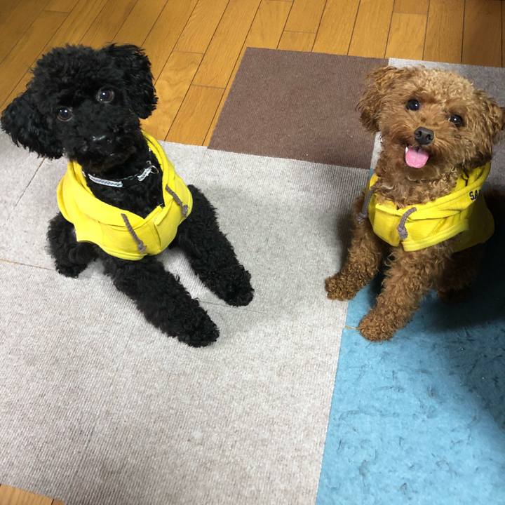 98decfa3 2dce 44fc bbd7 cdcf6c4e5f47 1529195553319