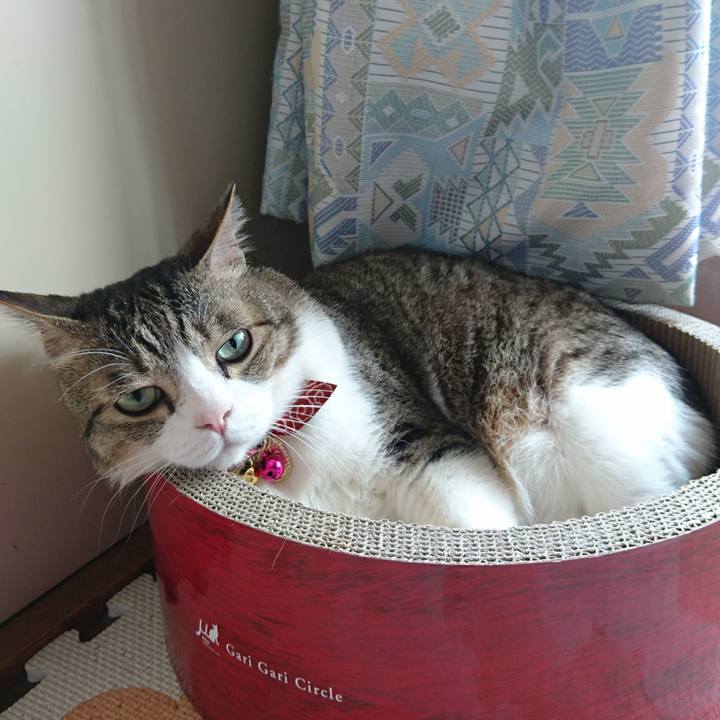 98dee4f9 2075 4a8f 8ea6 f80008f73d36 1531096862098