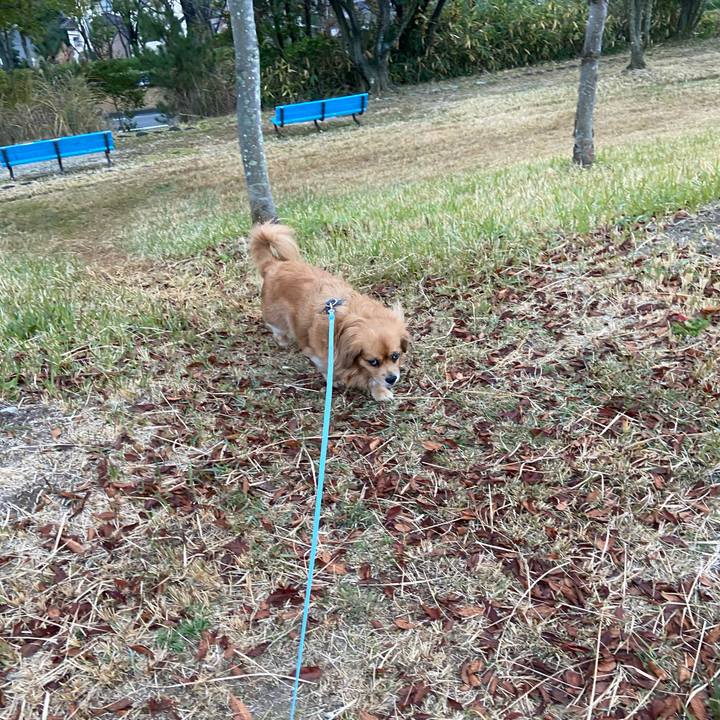 98dee75f d97e 4d81 a075 94eb7a9d8820 1607379863209