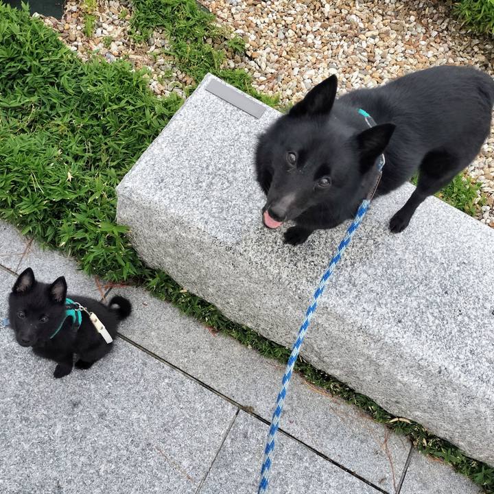 98df082e 92dd 46c5 81e9 1e493ed71dc5 1749648074733