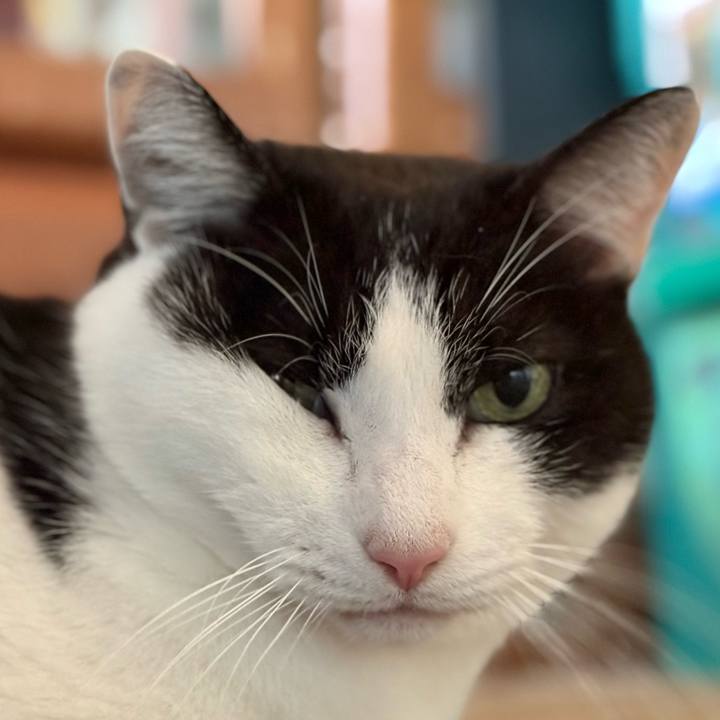 98df4480 12a8 4ea9 956a 8e988b3e3f5a 1735613880447