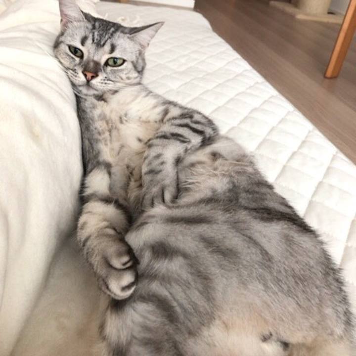 98dfa51f 9ed1 4a3e a7aa 3325ae79b7d2 1532207467192