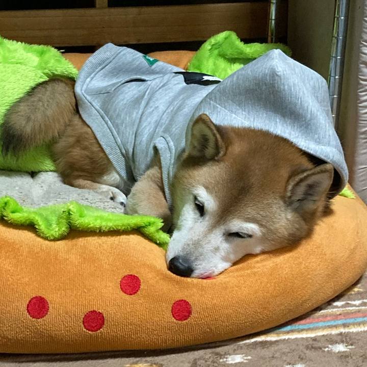 98dff1ae b52e 49f8 ac33 b325ac267913 1763629640295