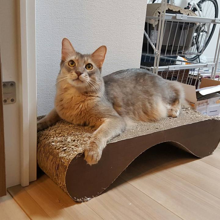 98e02eb5 02af 4fb8 8853 cdae5d1a6583 1539523661811