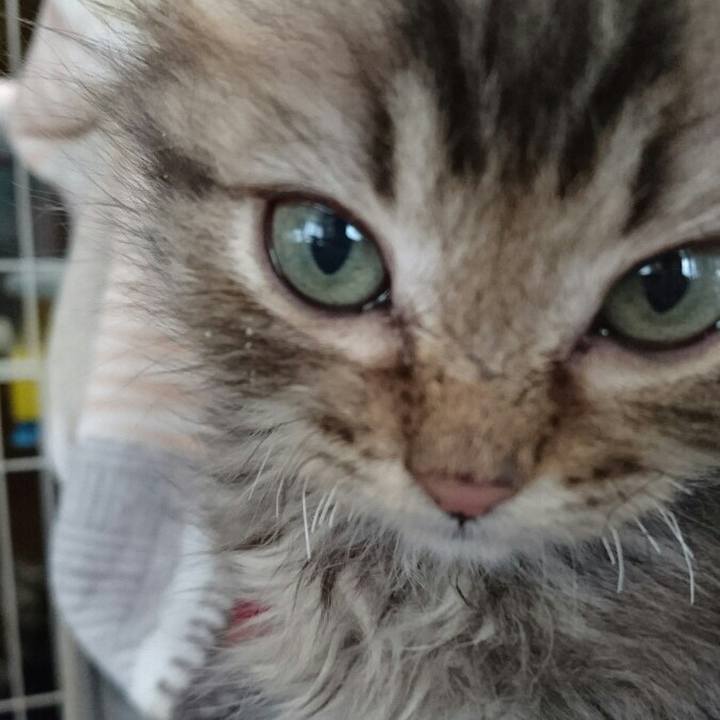 98e04dc3 894d 4b53 96ad ff8cfa22f861 1513050463439